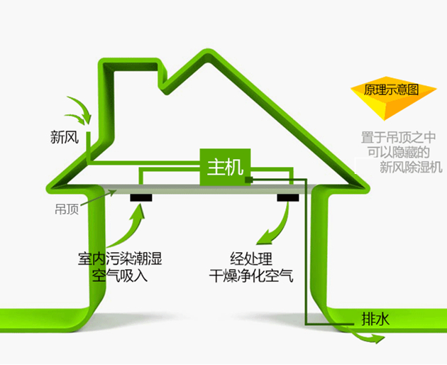 艾普生除濕機(jī)-別墅排屋中央新風(fēng)凈化除濕機(jī)