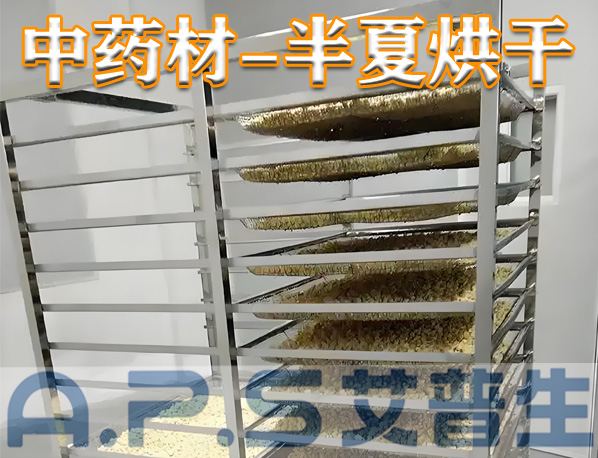 中藥材半夏烘干，除了傳統(tǒng)的烘干方法，首選推薦使用艾普生空氣能熱泵烘干機(jī)